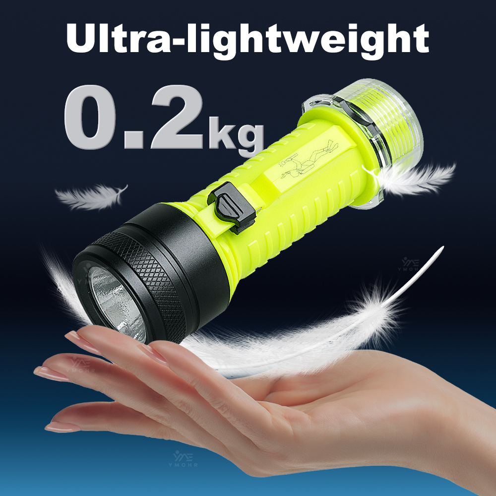New Portable Professional LED  - Fishing Light 리뷰 및 가격