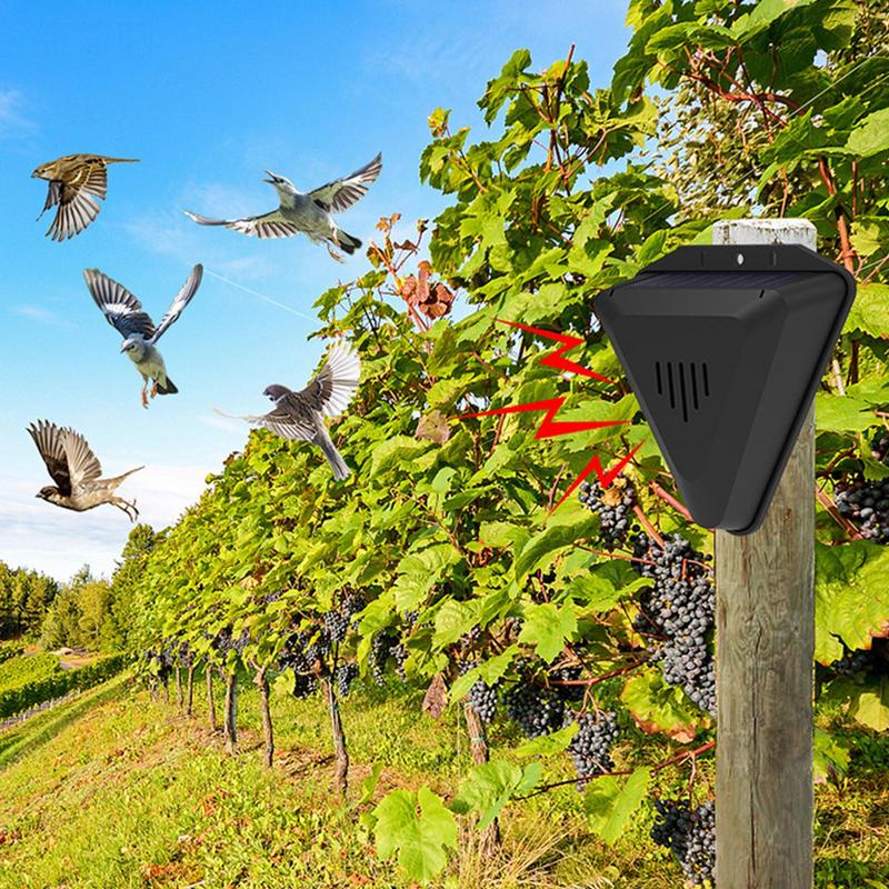 Waterproof Solar bird repeller - Fish Alarm 리뷰 및 가격